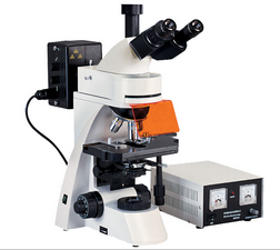 BM2000Z落射荧光显微镜