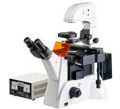 BM4000D倒置荧光显微镜